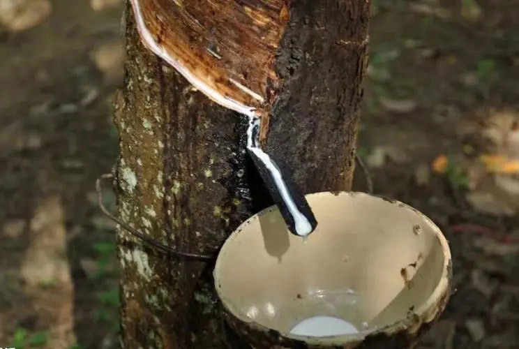 乳膠（jiāo）消（xiāo）泡劑應用（yòng）